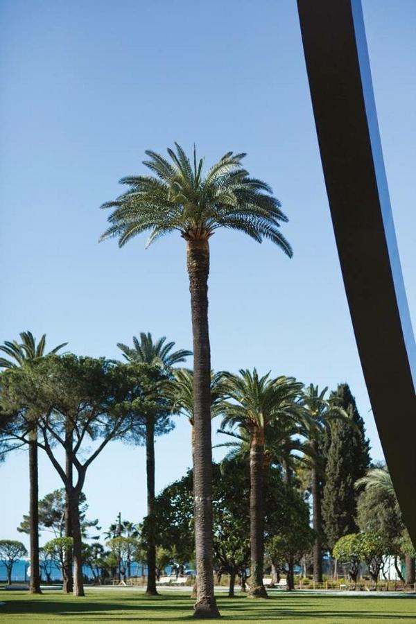 Cosy, Modern, Fully Equipped, Air Conditioning, Nice Historical, Old Town, 1Minute Walk From Beach - "Le Bunico 4" 外观 照片